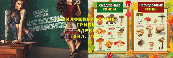 кокаин перу Каменногорск