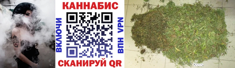 Канабис индика  Северская 